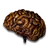 Khalim's Brain